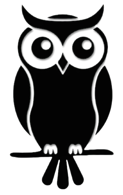 Knowsio Logo
